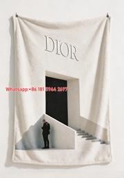 Minimalist Dior Architecture Flannel Sofa Blanket D301